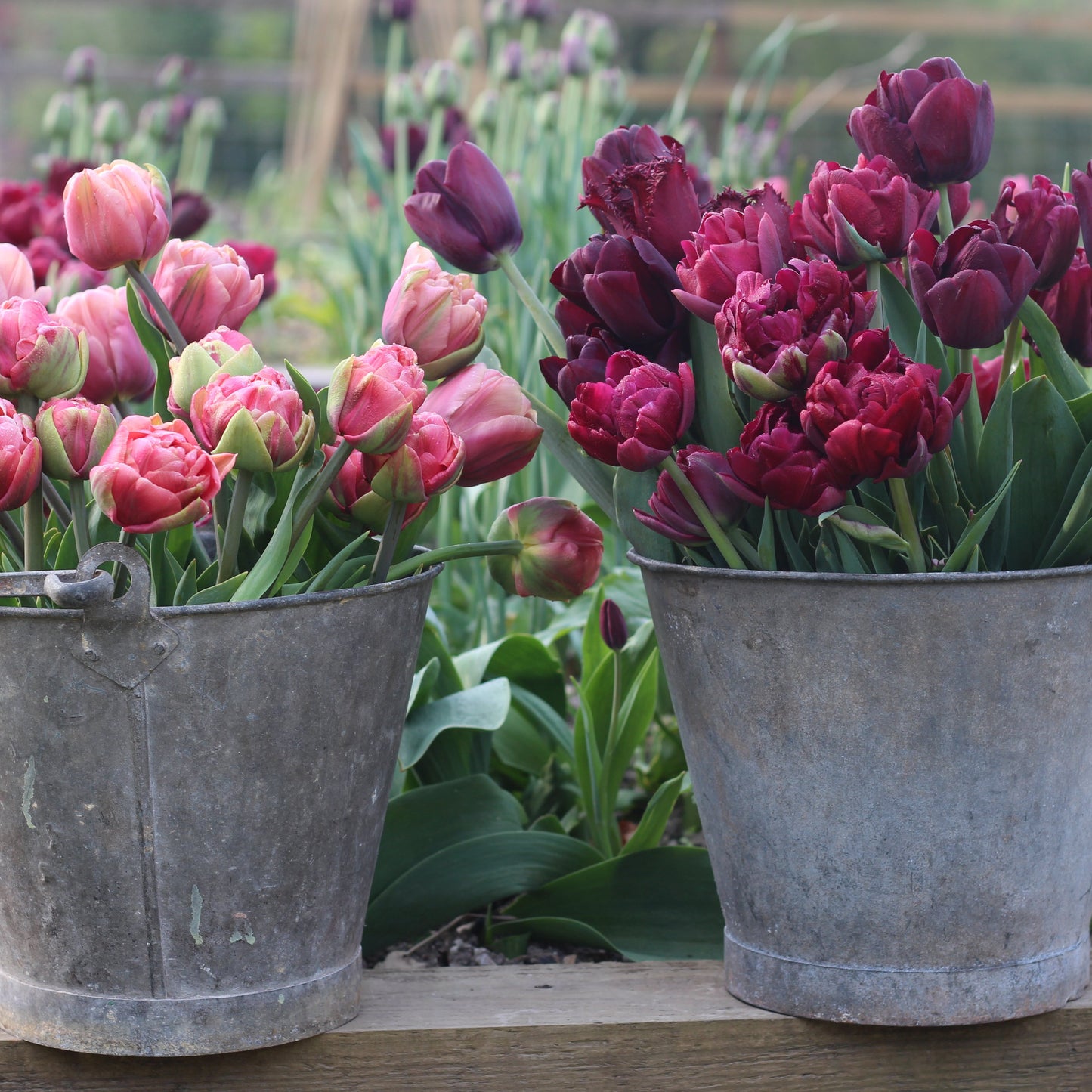 Spring Bouquet Workshop
