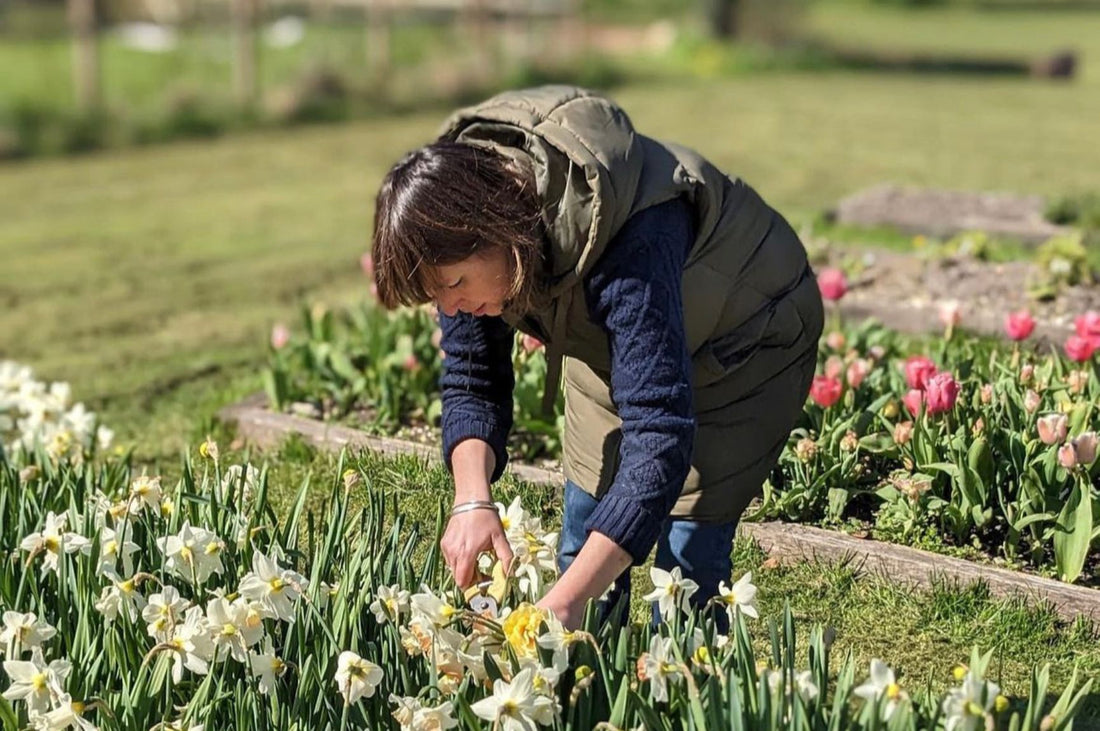 Sarah is working in Pod & Pip's spring garden, collecting flowers for the workshop. 