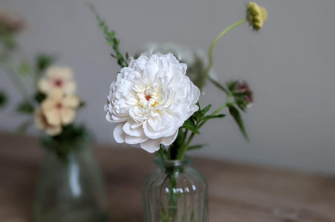 A beautiful vase arrangement created by Pod & Pip