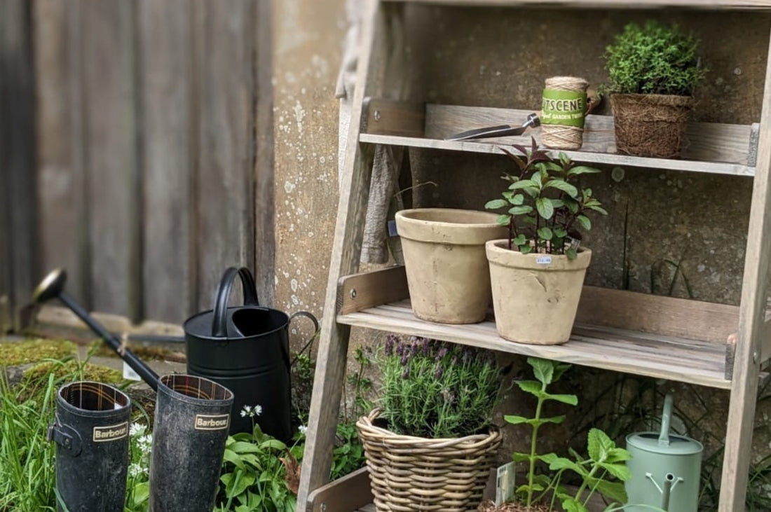 Pod & Pip's personal garden storage area, featuring a wooden ladder storing plant pots, plants, twine, and garden tools.