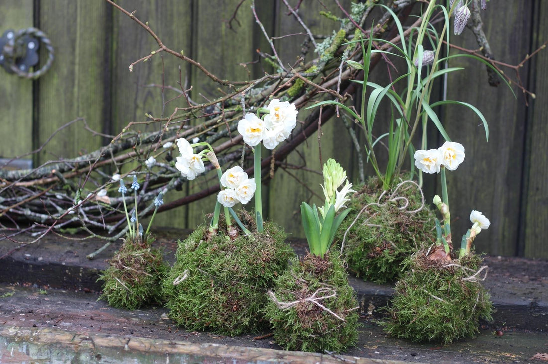 An image of beautiful spring flowers at the Pod & Pip workshop