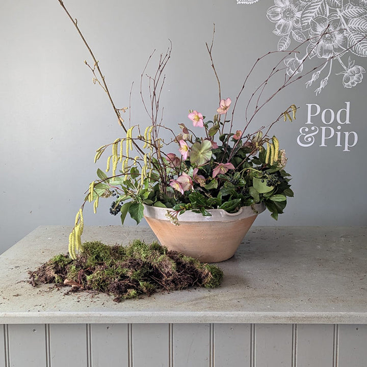 How to make a foraged winter bowl arrangement