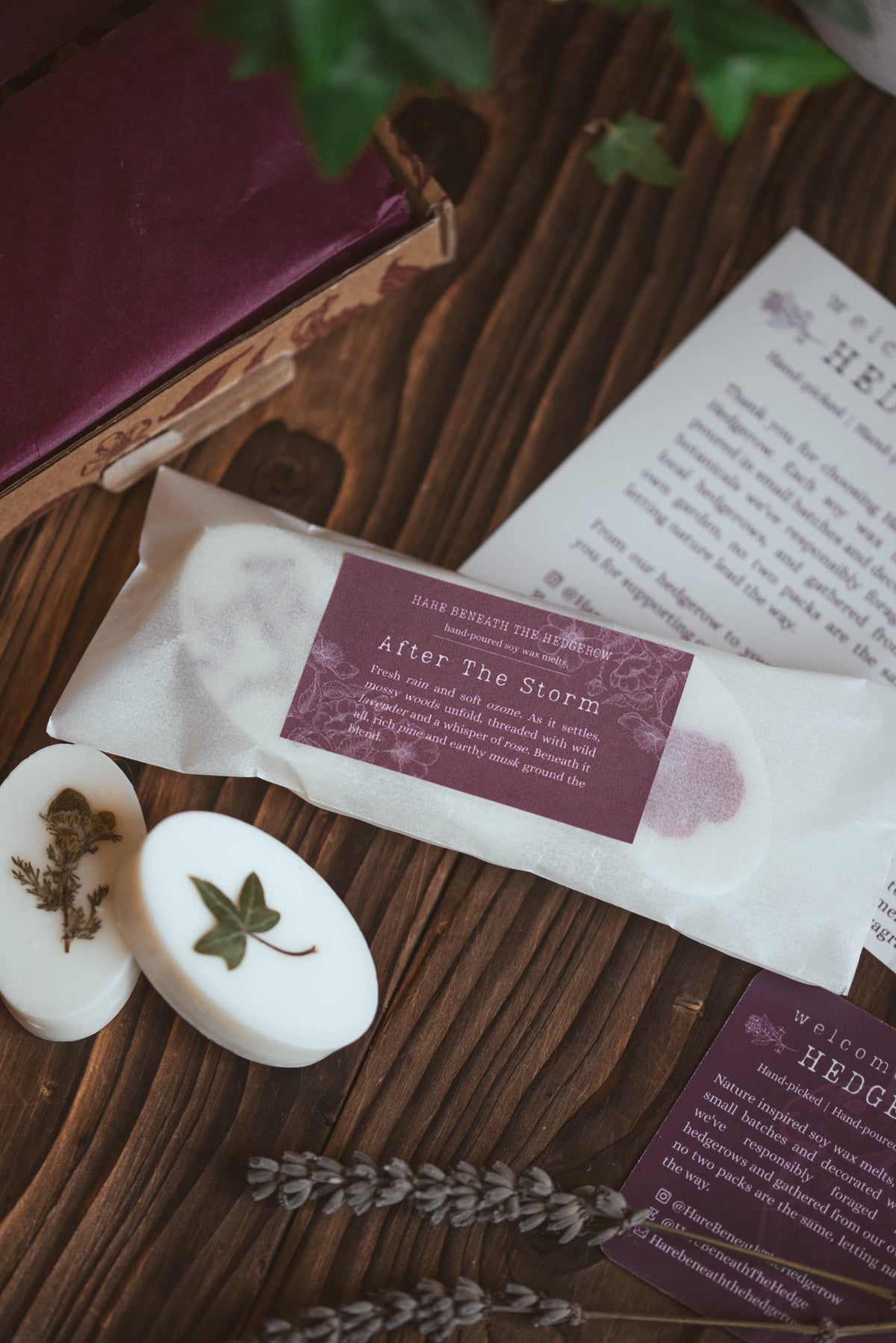 "After the Storm" Botanical Wax Melts 