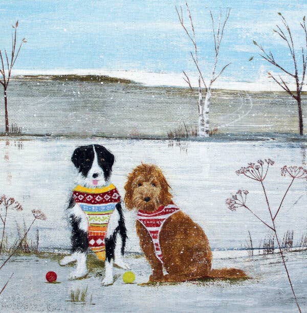 Christmas Card Pack - Christmas Jumpers by Hannah Cole