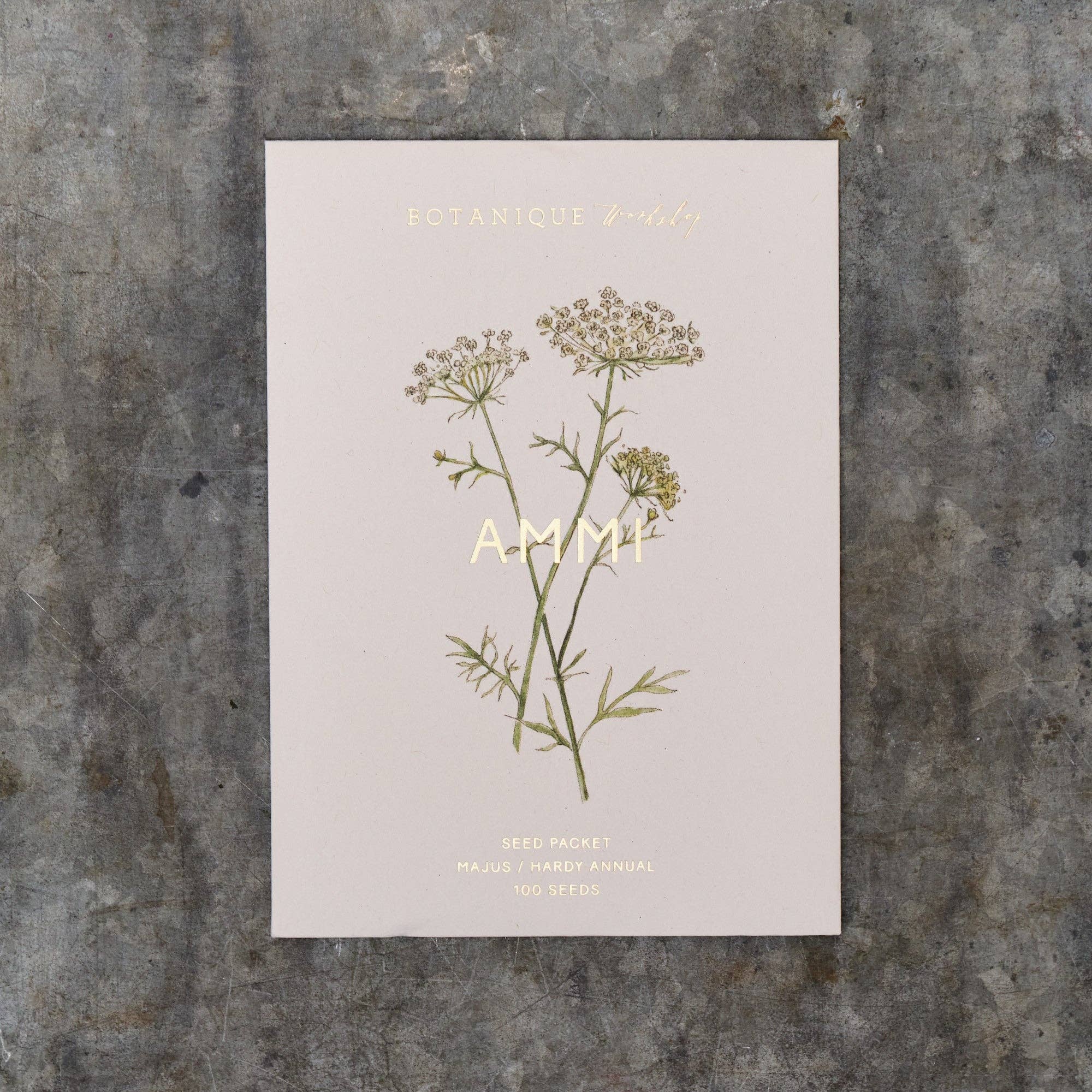 Ammi Majus Seed Packet – Pod & Pip