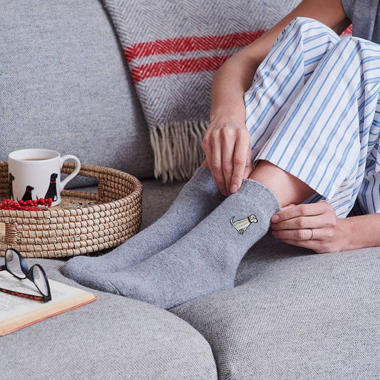 Dog Walking Socks - Yellow Labrador