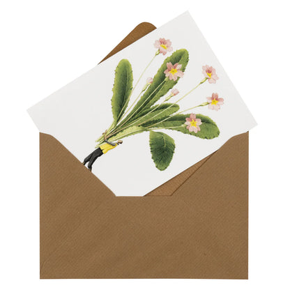 Notecards - Spring Flowers