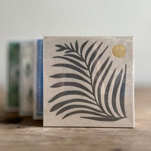 Match Box Fern