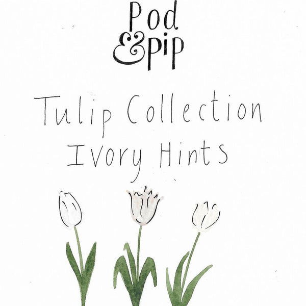 Pod & Pip Ivory Tints Tulip Collection