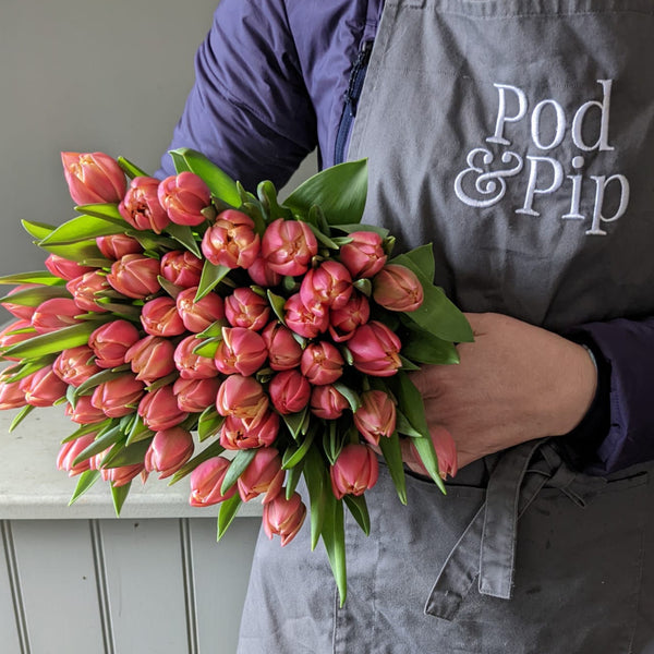 Tulip Bouquet